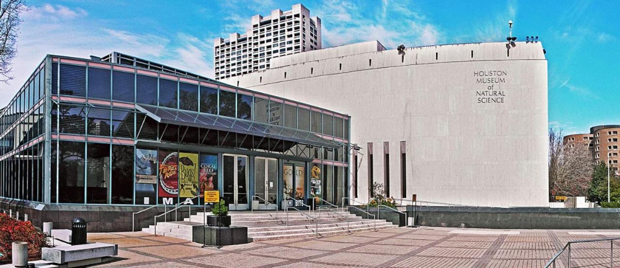 *Hidden Gem* Cozy 1 Bd Nrg/Tmc/Dt/Zoo/Museums Apartment Houston Exterior photo